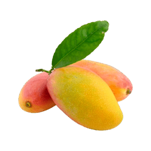 Large Fresh Mango