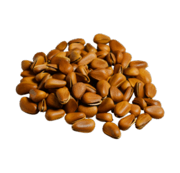Brown Nuts