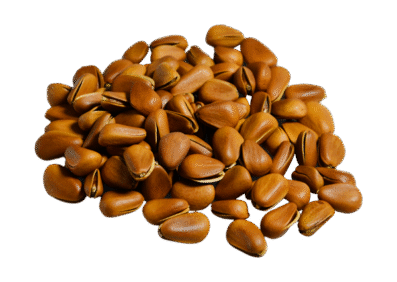 Brown Nuts