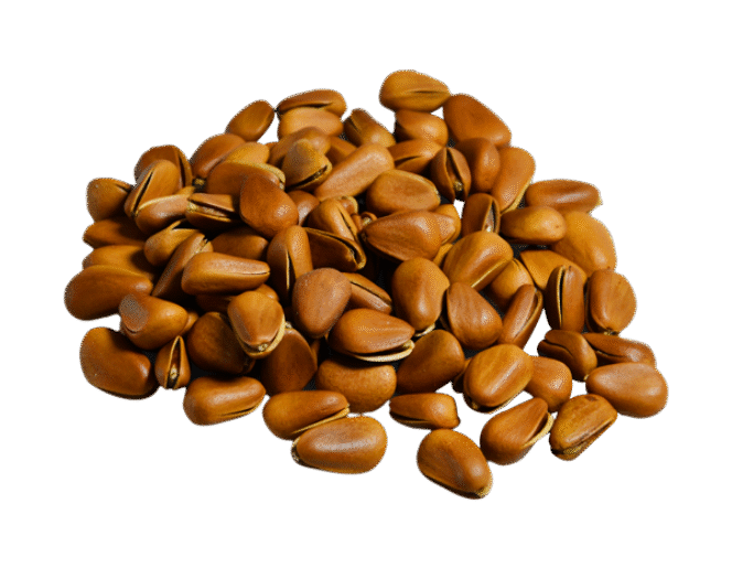 Brown Nuts