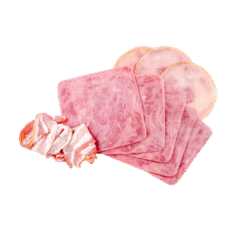 Bacon Square Meat