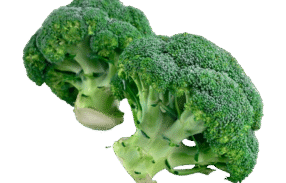 Organic Broccoli Sliced