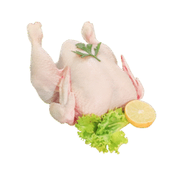 Fresh Full Chicken