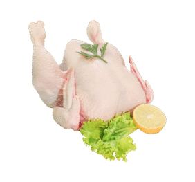 Fresh Full Chicken