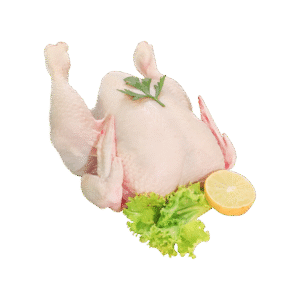 Fresh Full Chicken
