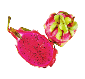 Red Dragon Fruit