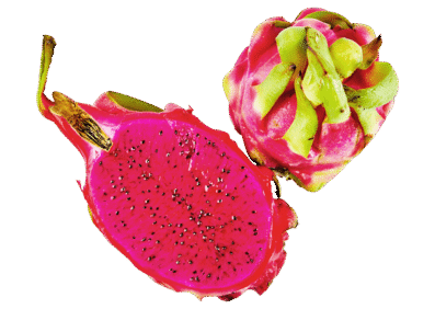 Red Dragon Fruit