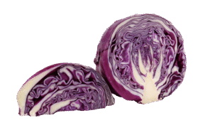 Sliced Purple Cabbage