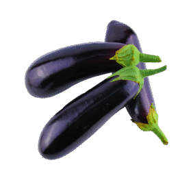 Black Vegan Brinjal