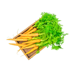 Vegan Red Carrot
