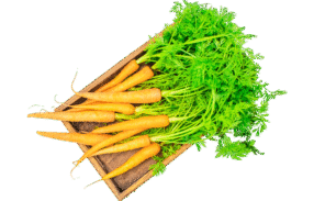 Vegan Red Carrot