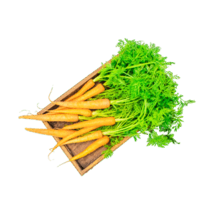 Vegan Red Carrot