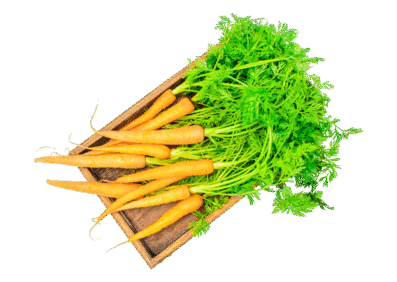 Vegan Red Carrot