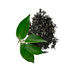 Healthy Green Tea