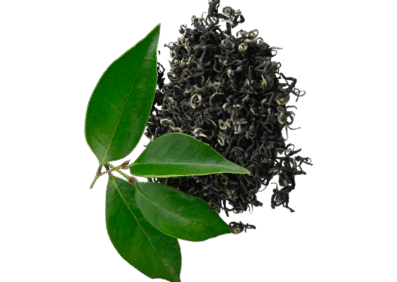 Healthy Green Tea