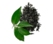 Healthy Green Tea