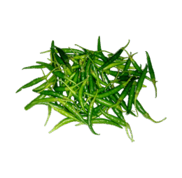 Spice Green Chili