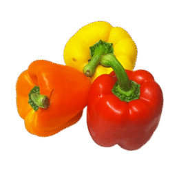 Mixed Vegan Capsicum
