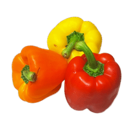 Mixed Vegan Capsicum