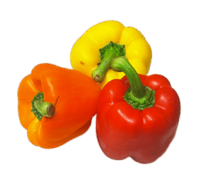 Mixed Vegan Capsicum