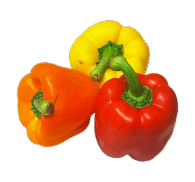 Mixed Vegan Capsicum