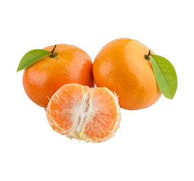 Tangerine Orange