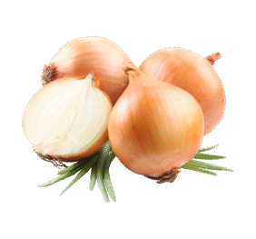 Organ Sweet Onions