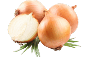 Organ Sweet Onions