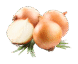 Organ Sweet Onions