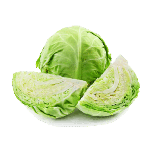 Fresh Greeny Cabbage