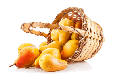 Bucket of Sofeda
