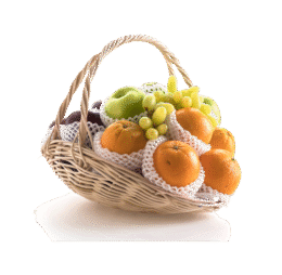 Vege Fruit Bucket