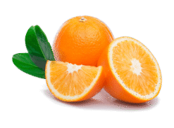 Vegan Fresh Maltas