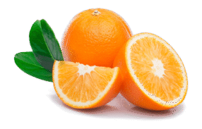 Vegan Fresh Maltas