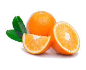 Vegan Fresh Maltas