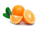 Vegan Fresh Maltas