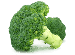 Calabres Broccoli