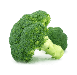 Calabres Broccoli