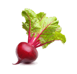Vegan Fresh Radish