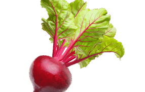Vegan Fresh Radish