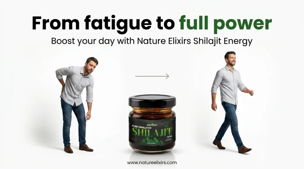 Pure Himalayan Shilajit Resin 30g Premium Lab-Tested & Authentic Nature Elixirs Shilajit Energy from fatique to full power.