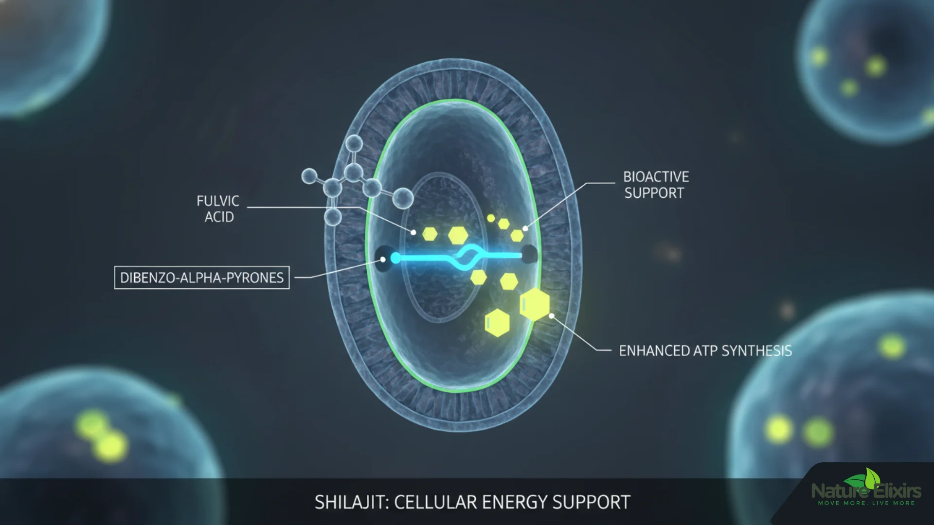 shilajit energy benefites revealed in studies uk research