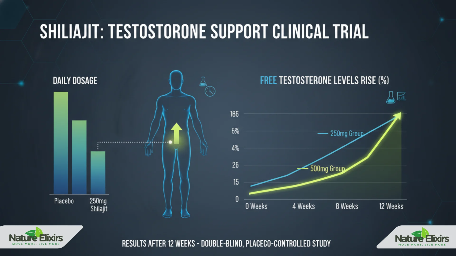 shilajit studies and research about testosterone 
