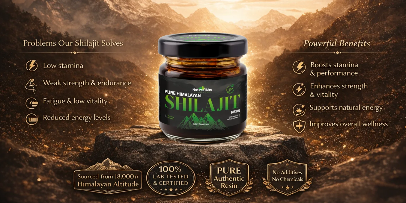 shilajit benefits and all problems that shilajit solves