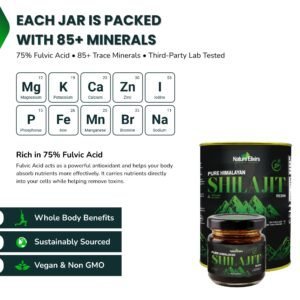 buy 2 get one free each jar of nature elixirs shilajit contains 85+ trace minerals